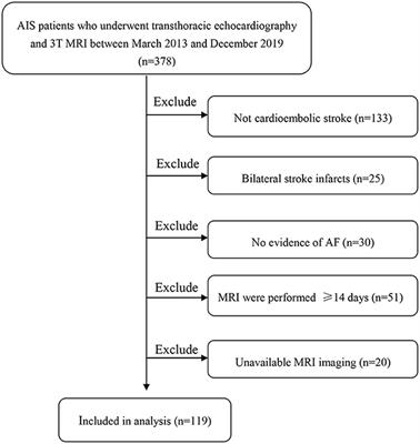 Echocardiographic correlates of MRI imaging markers of cerebral small-vessel disease in patients with atrial-fibrillation-related ischemic stroke